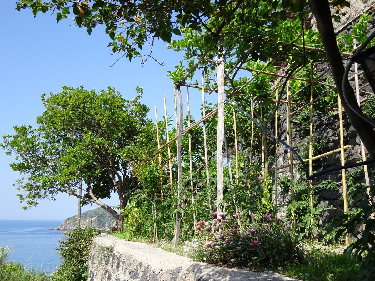 Casa Antonio Panzió Barano dʼIschia Kültér fotó