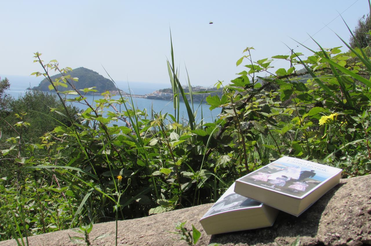 Casa Antonio Panzió Barano dʼIschia Kültér fotó